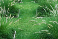 Травяная садовая дорожка